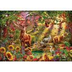 Magic Forest