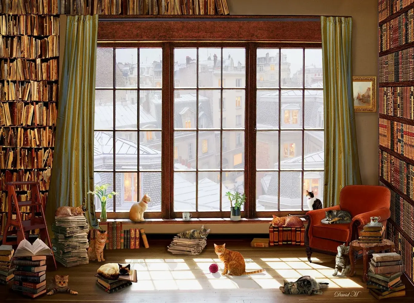 Window Cats