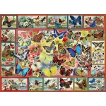 Lots of Butterflies