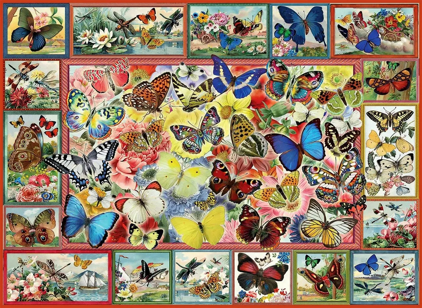 Lots of Butterflies