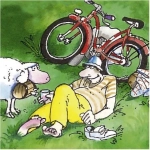 Das Radrennen
