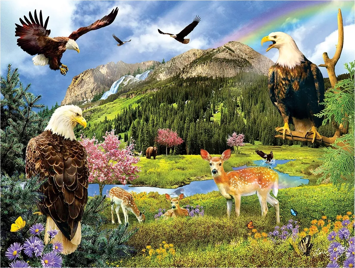 Eagle Valley - Lori Schory