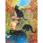 Cats and Koi - Chrissie Snelling