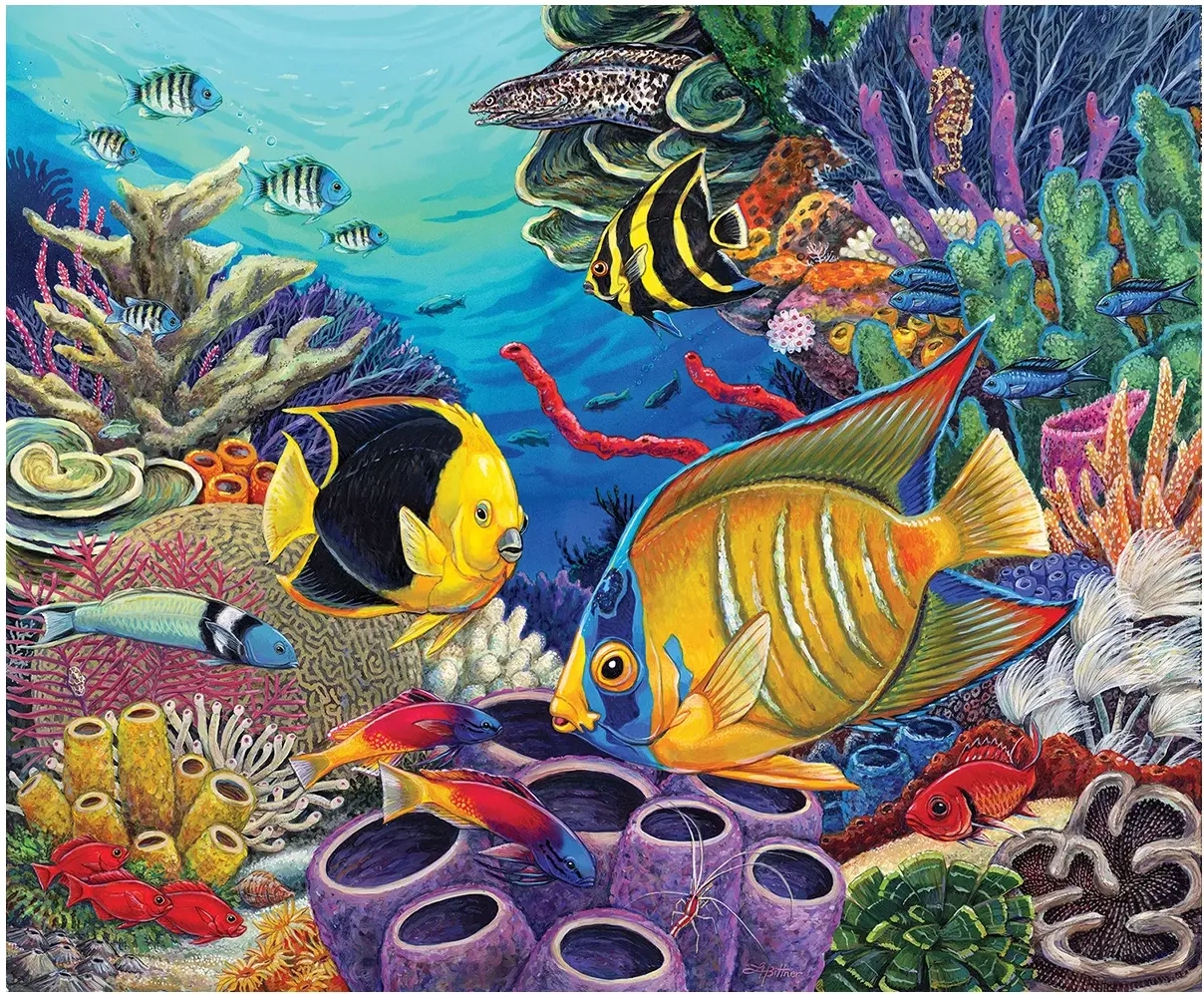 Coral Reef