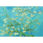 Vincent Van Gogh: Mandelblüten