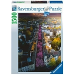 Blühendes Bonn