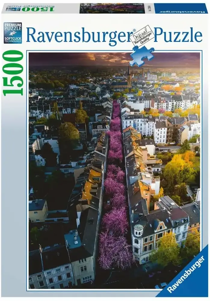 Blühendes Bonn