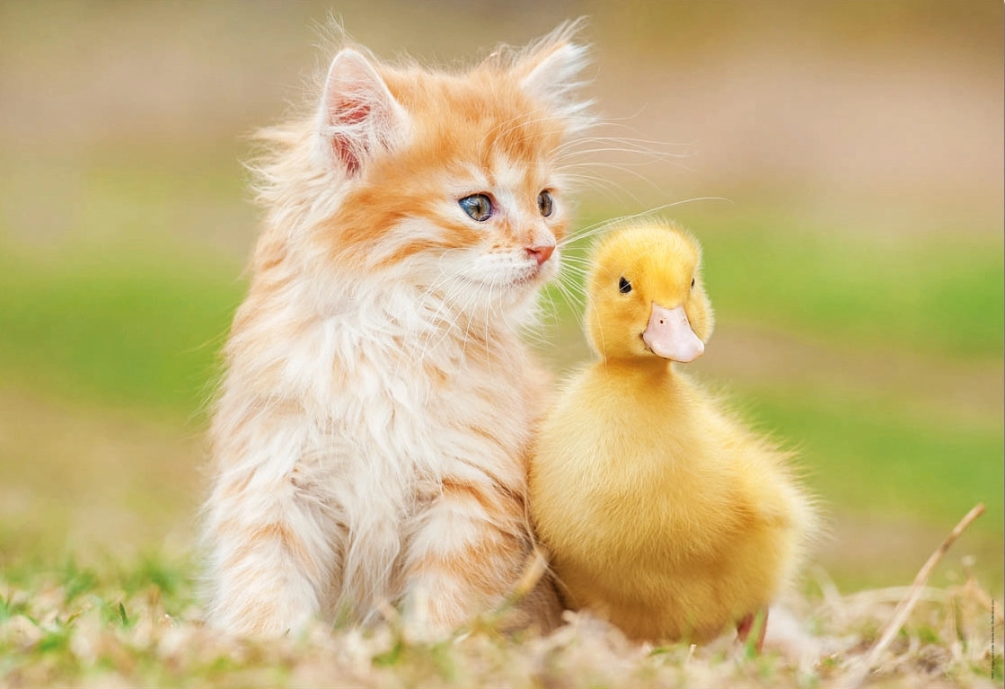 Adorable friends