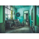 The Madhouse - Lost Places