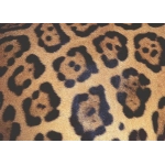 Challenge Animalprint