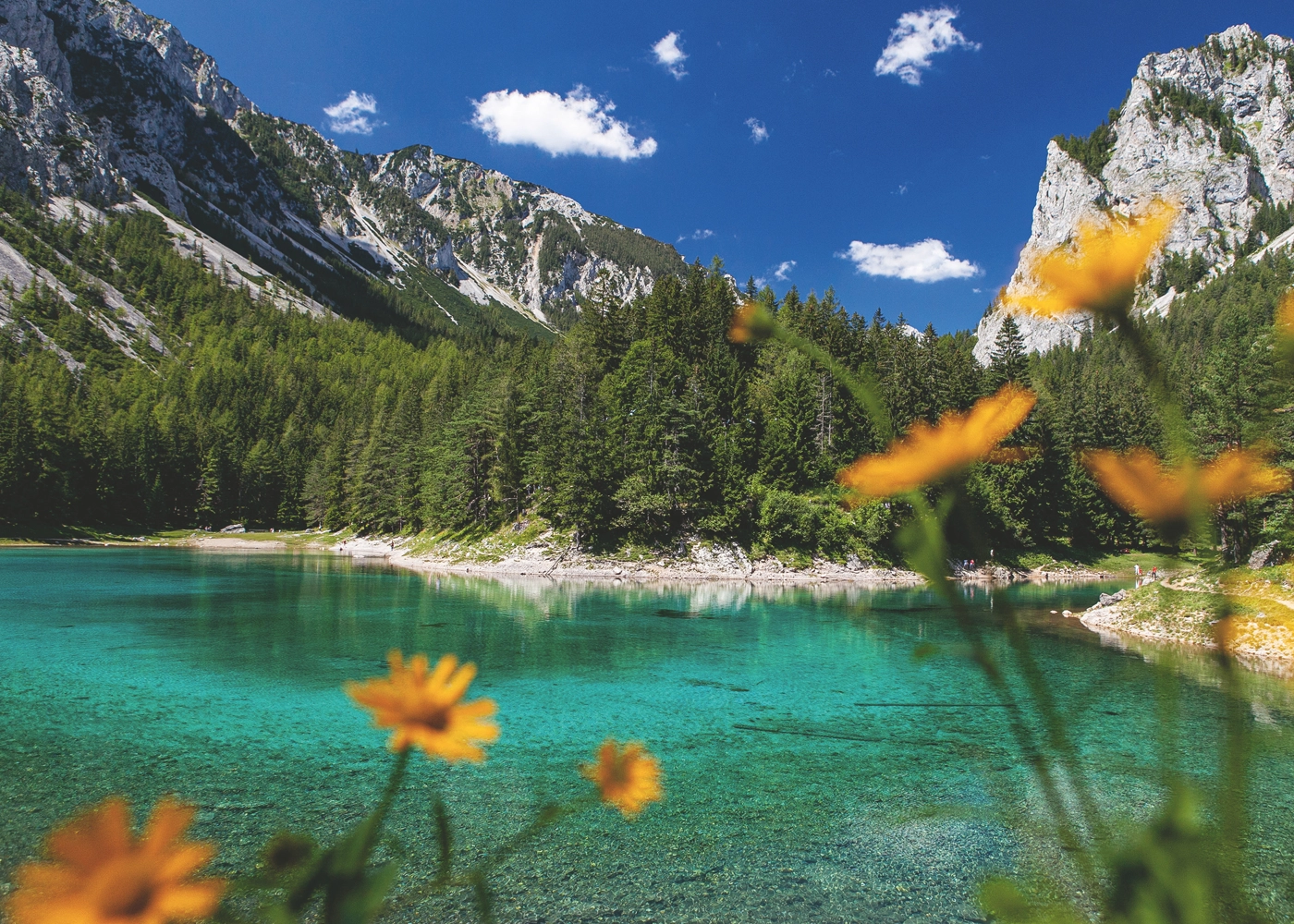 Grüner See bei Tragöss - Österreich