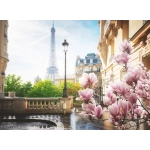 Frühling in Paris