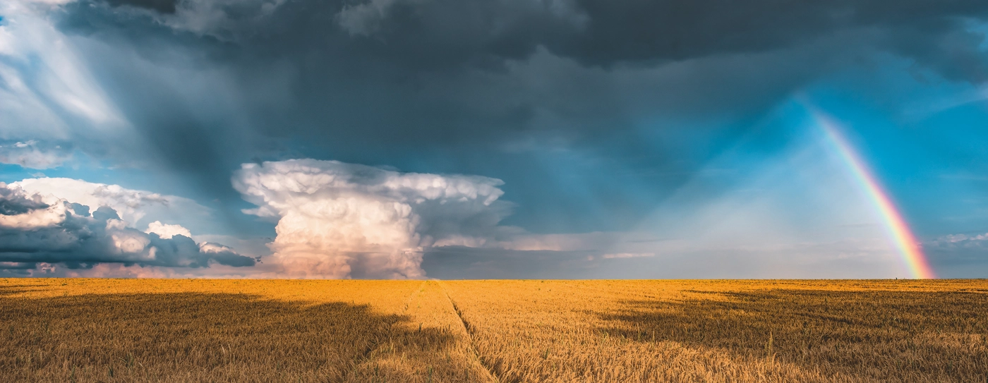 Nature Edition Mystisches Regenbogenwetter