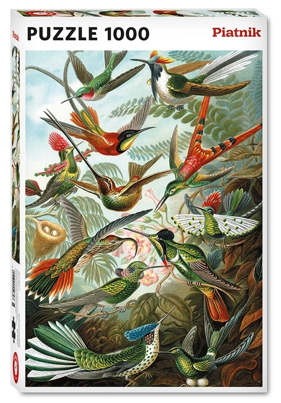 Kolibris - Ernst Haeckel
