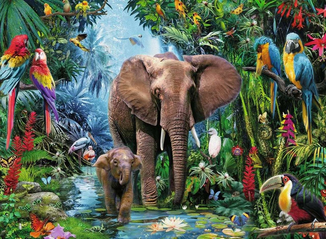 Dschungel Elefanten