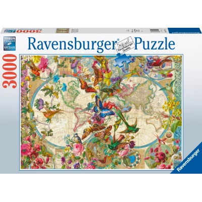 Weltkarte mit Schmetterlingen