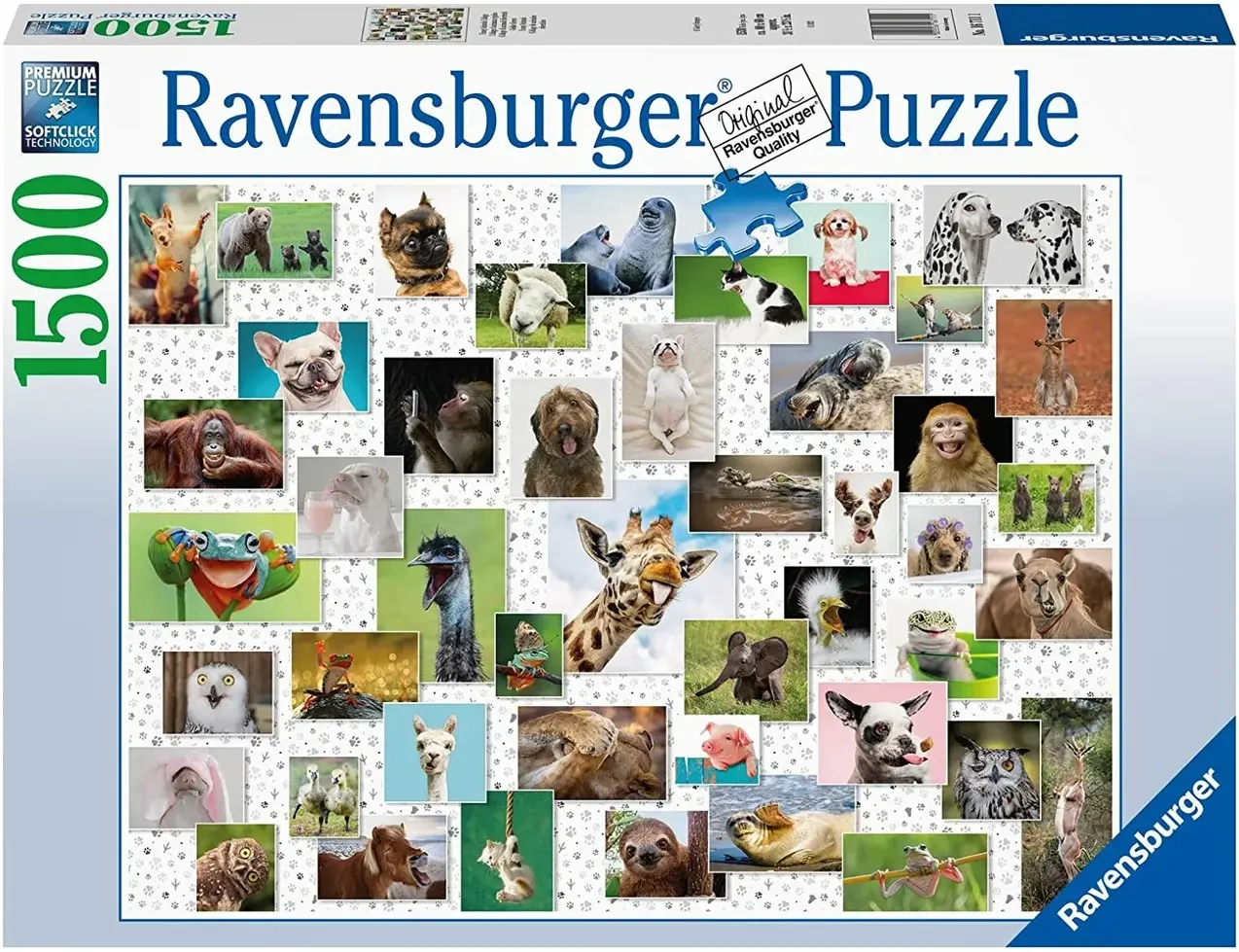 Lustige Tier-Collage