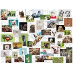 Lustige Tier-Collage