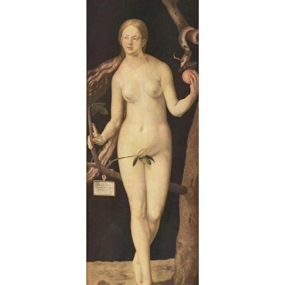 Eva - Albrecht Dürer