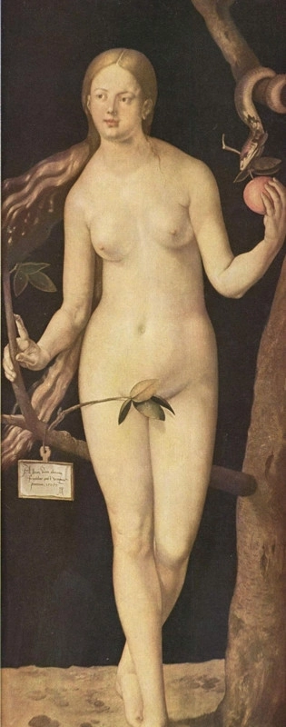 Eva - Albrecht Dürer