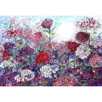 Sweet William with Butterflies - Sally Rich