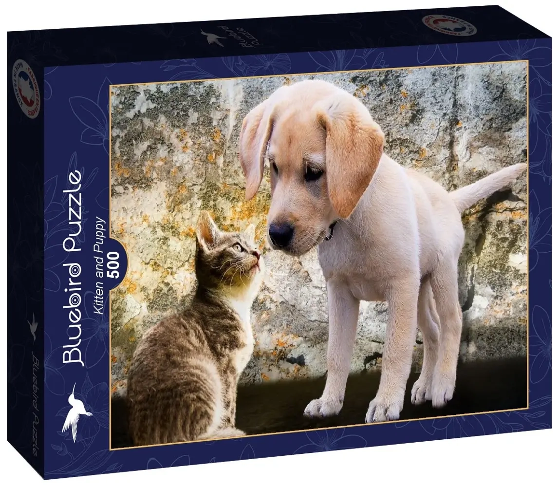 Kitten and Puppy