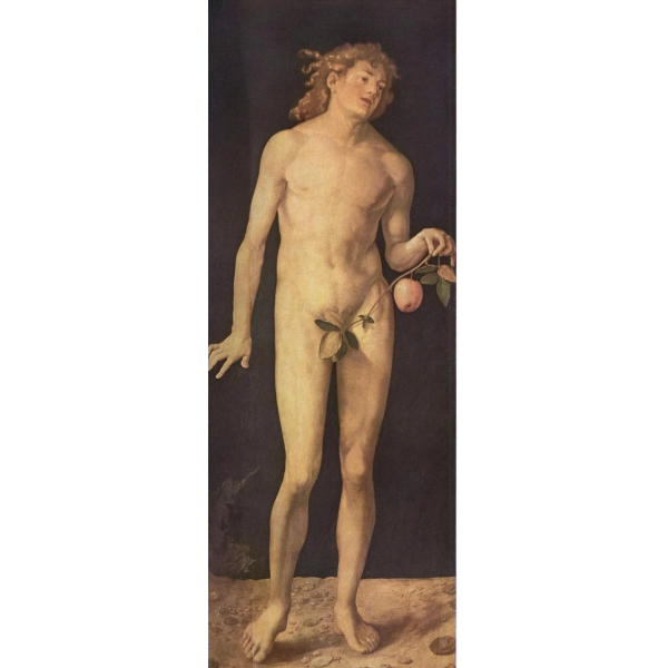 Adam - Albrecht Dürer