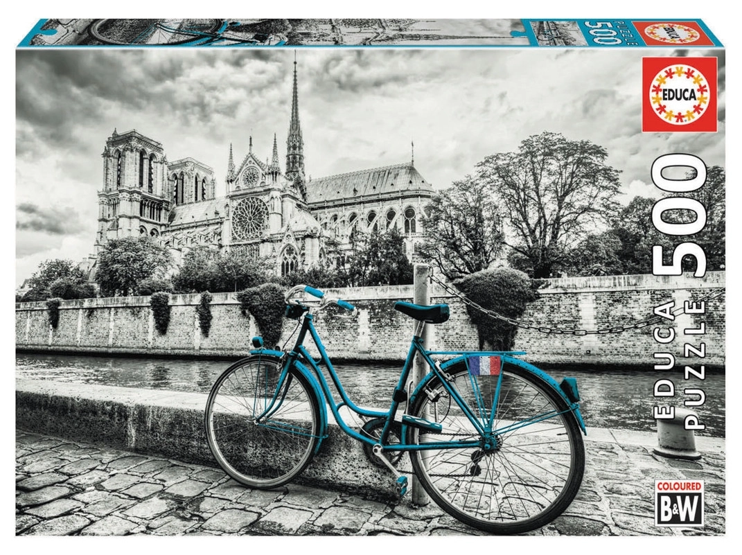 Bike near Notre Dame