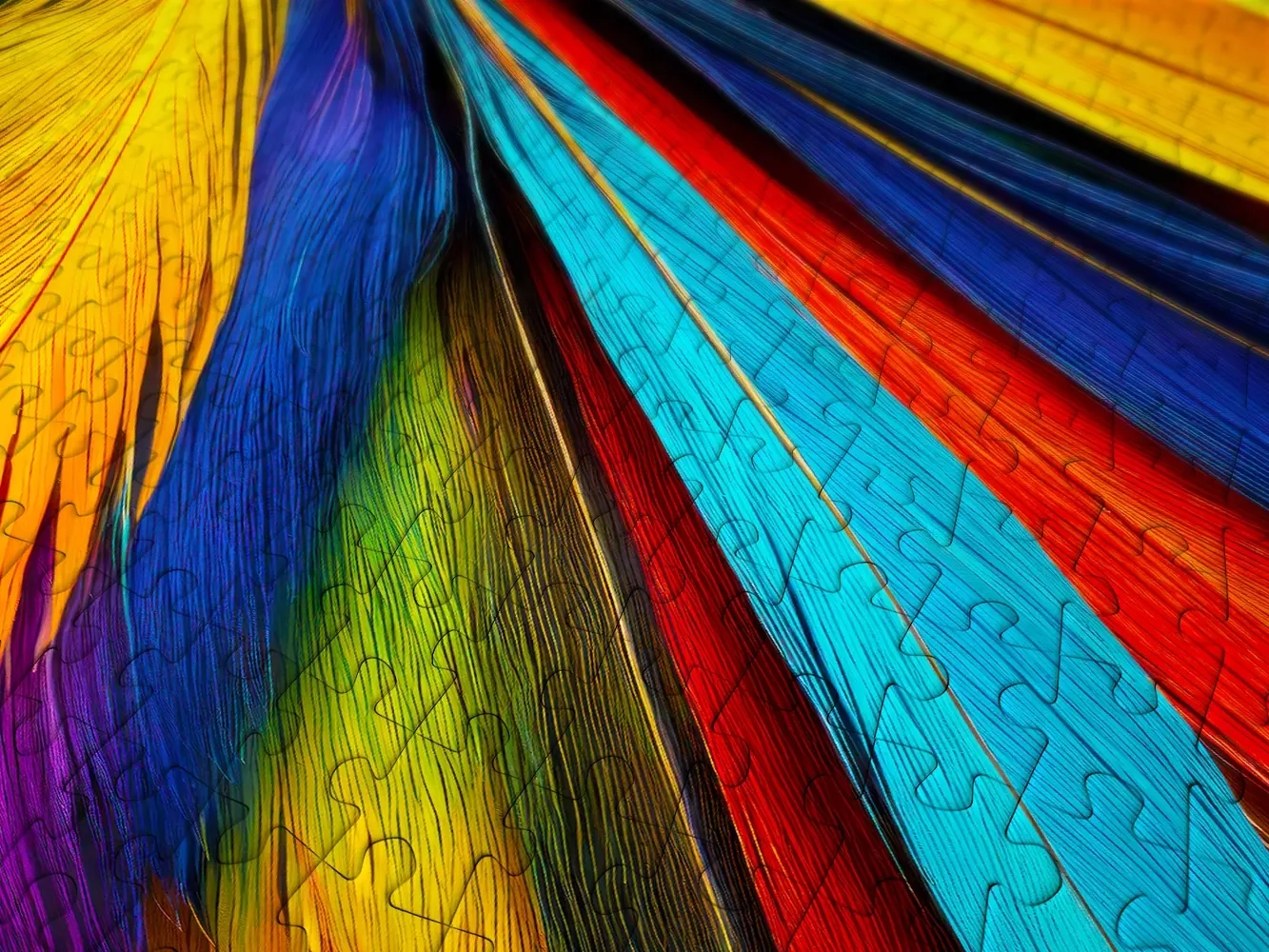 Bunte Federn