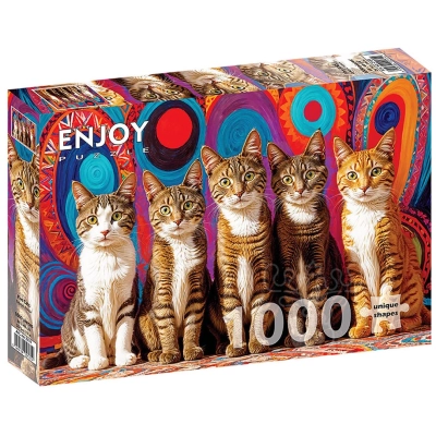 Fünf süsse Katzen