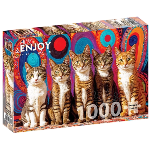 Fünf süsse Katzen