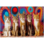 Fünf süsse Katzen