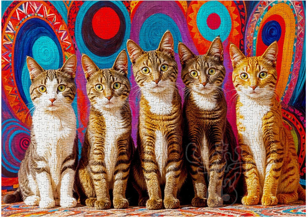 Fünf süsse Katzen