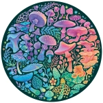 Circle of colors - Mushrooms