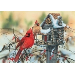 Cardinal's Rustic Retreat