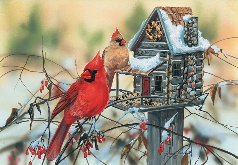 Cardinal's Rustic Retreat