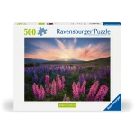 Wiese voller Lupinen