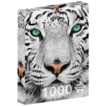 White Siberian Tiger