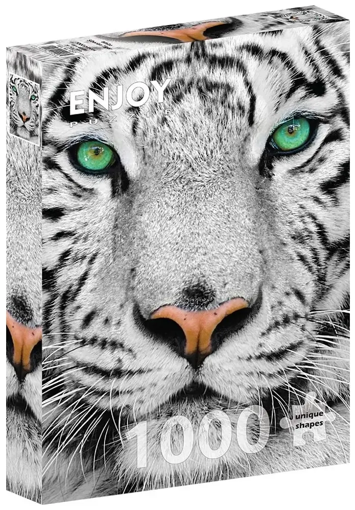 White Siberian Tiger