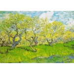 Vincent Van Gogh: Obstgarten in Blüte