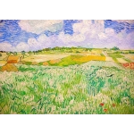 Vincent Van Gogh: Ebene bei Auvers