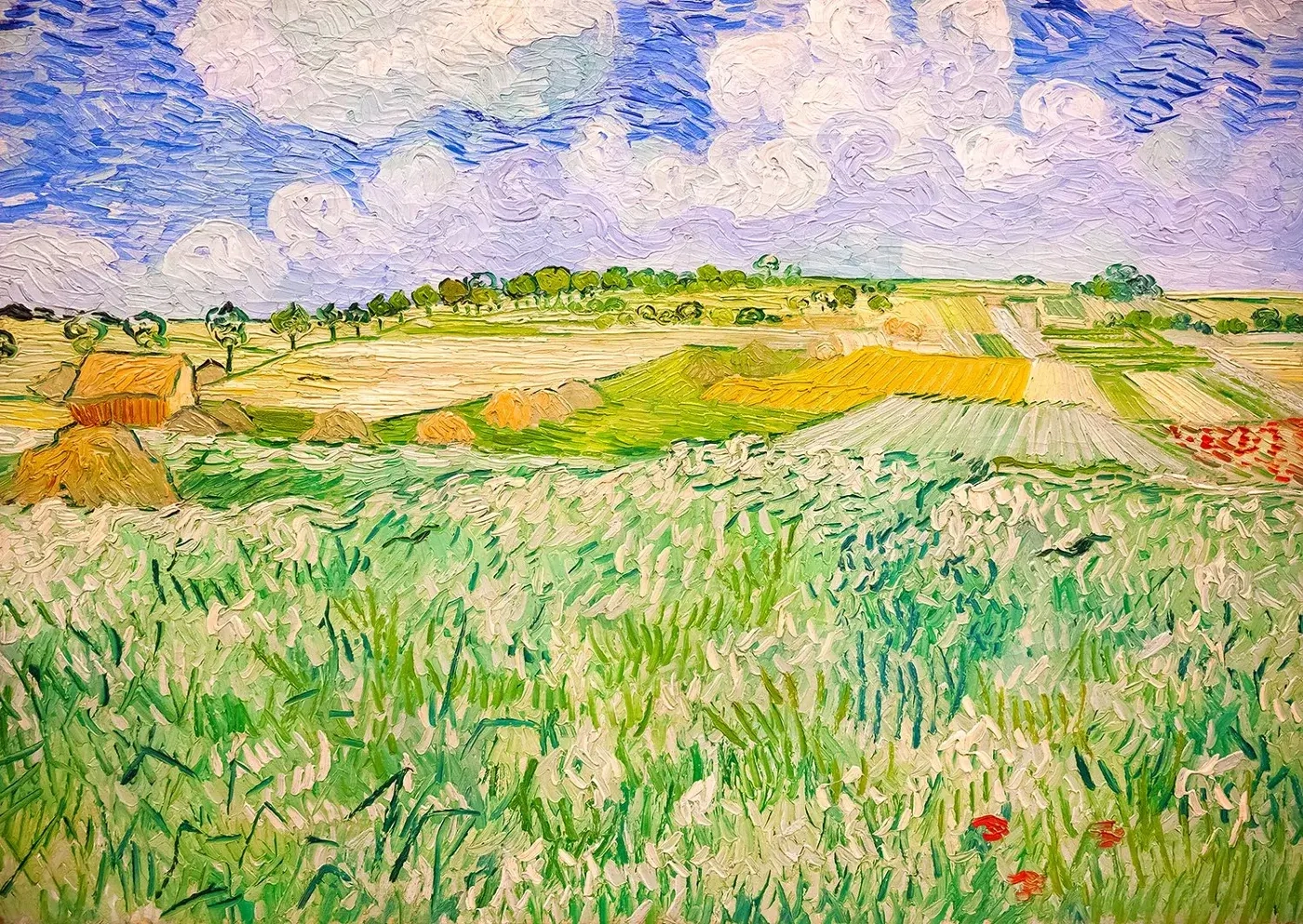 Vincent Van Gogh: Ebene bei Auvers