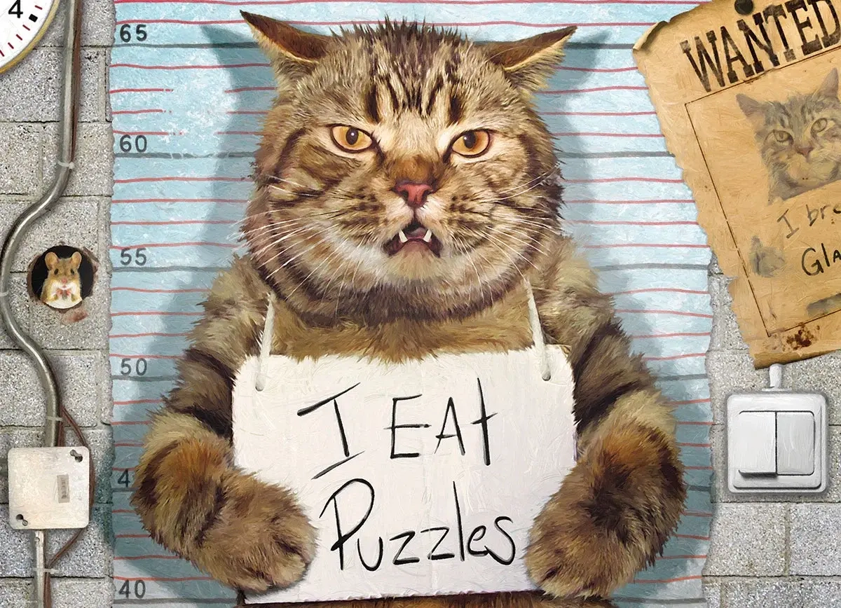 Katzenverbrecher