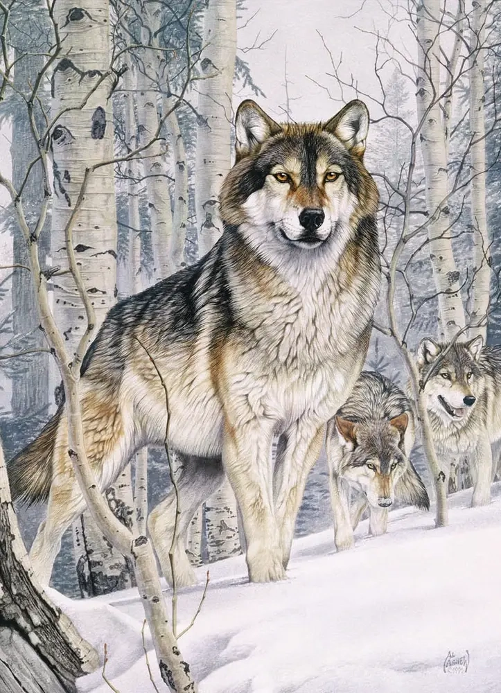 Wolf im Winterwald
