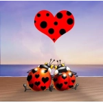 Love - François Ruyer