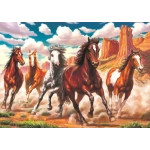 Running Wild in the Valley