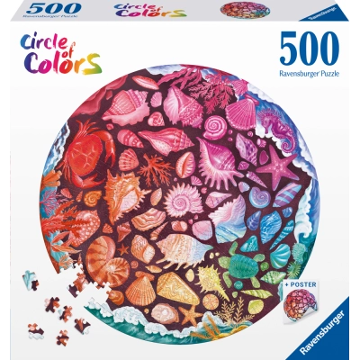 Circle of colors - Seashells