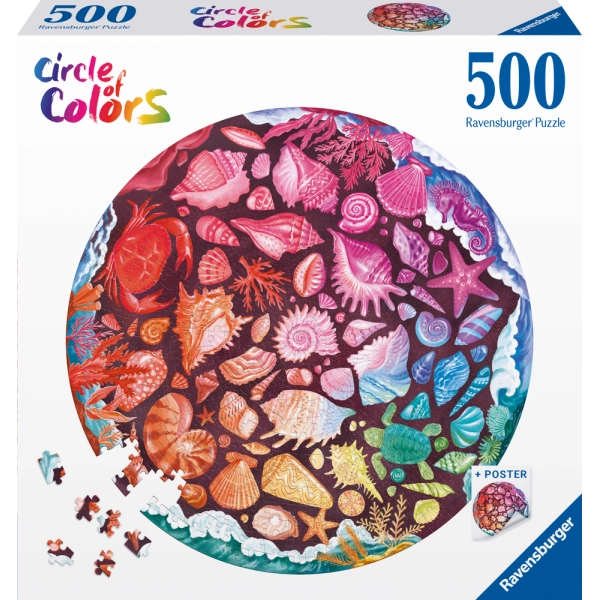 Circle of colors - Seashells