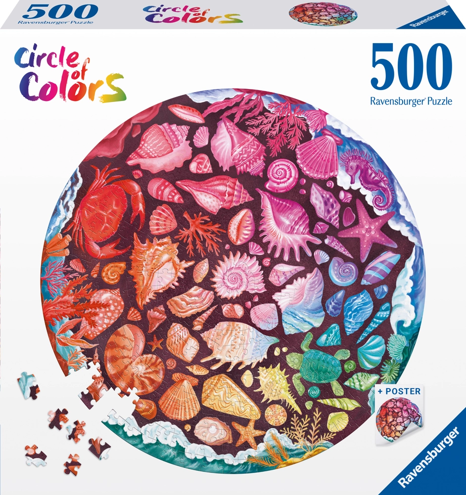 Circle of colors - Seashells