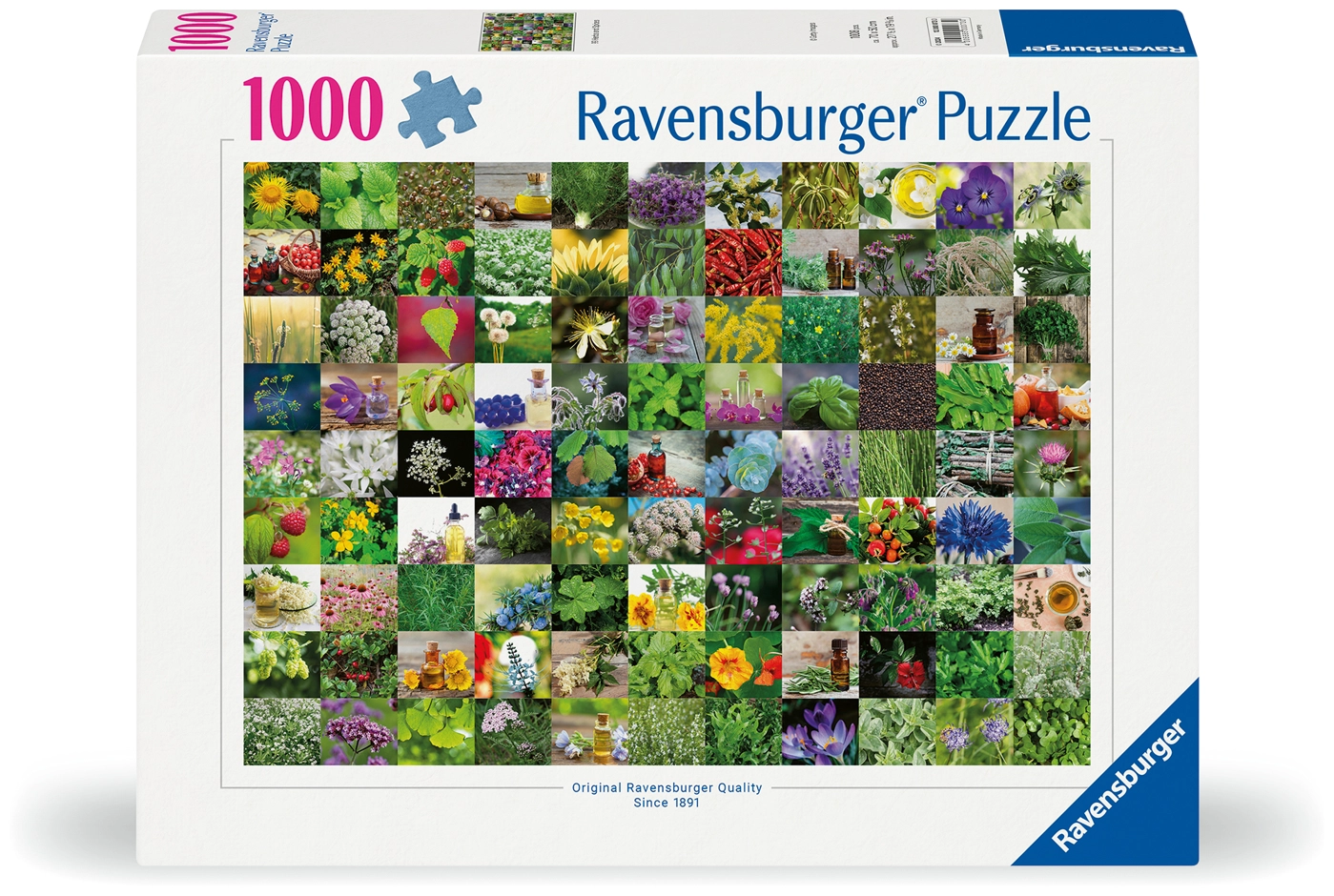99 Kräuter und Gewürze
